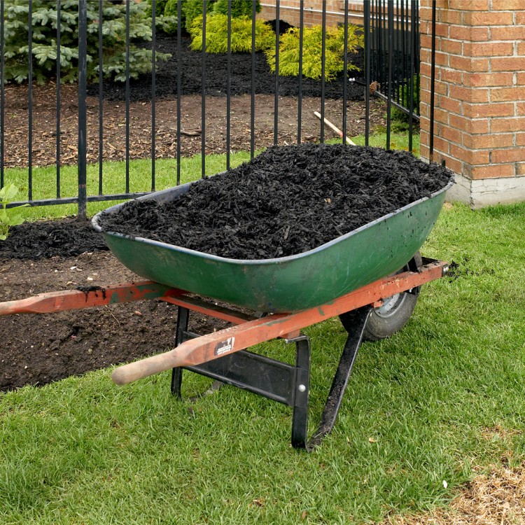 Landscaping in Cedar Rapids, IA